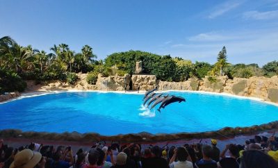 Loro Parque