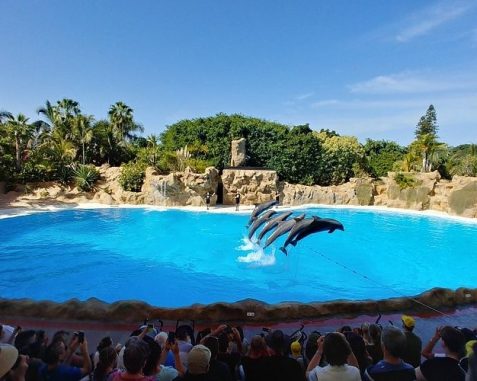 Loro Parque